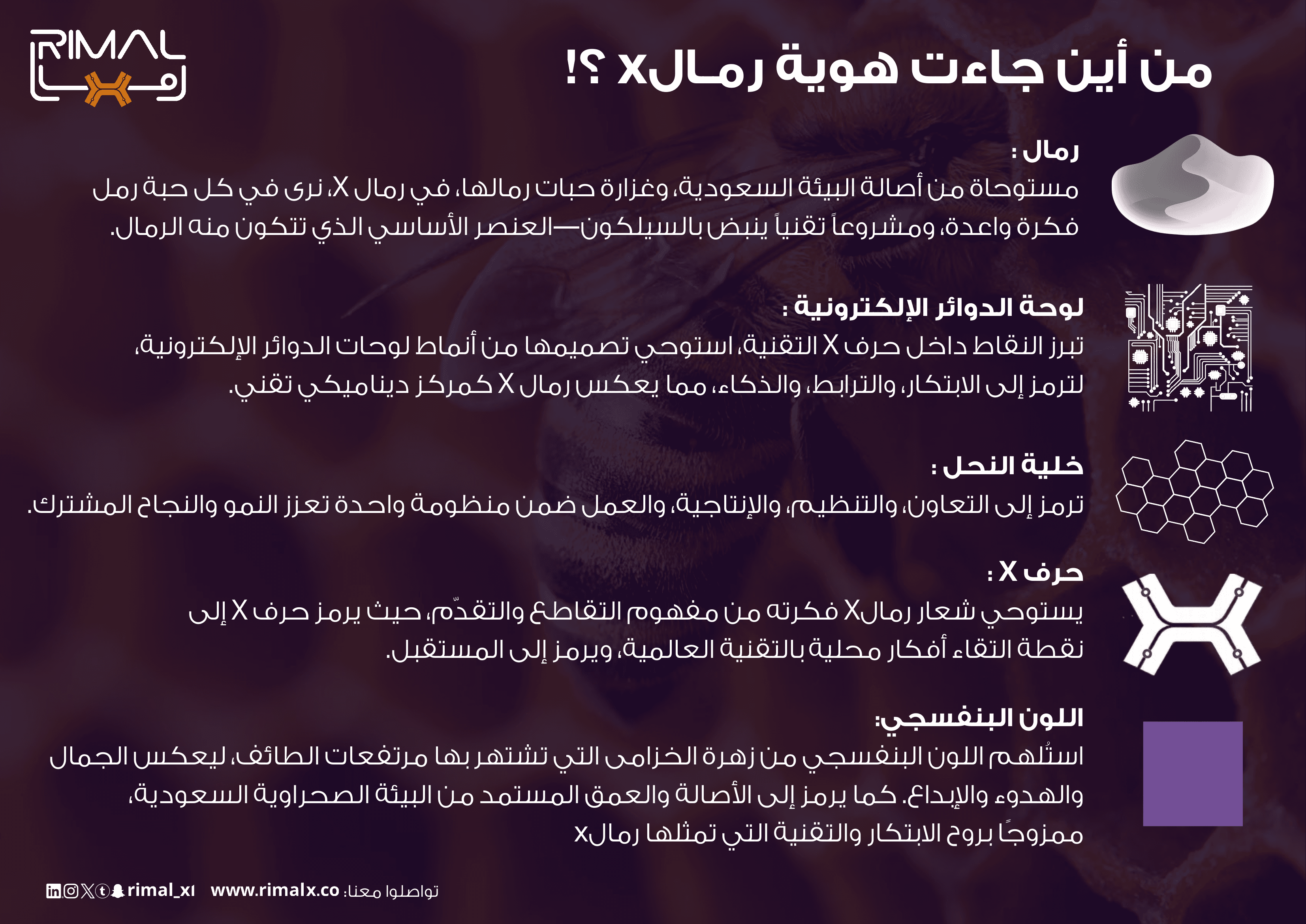الهوية البصرية لرمال إكس
