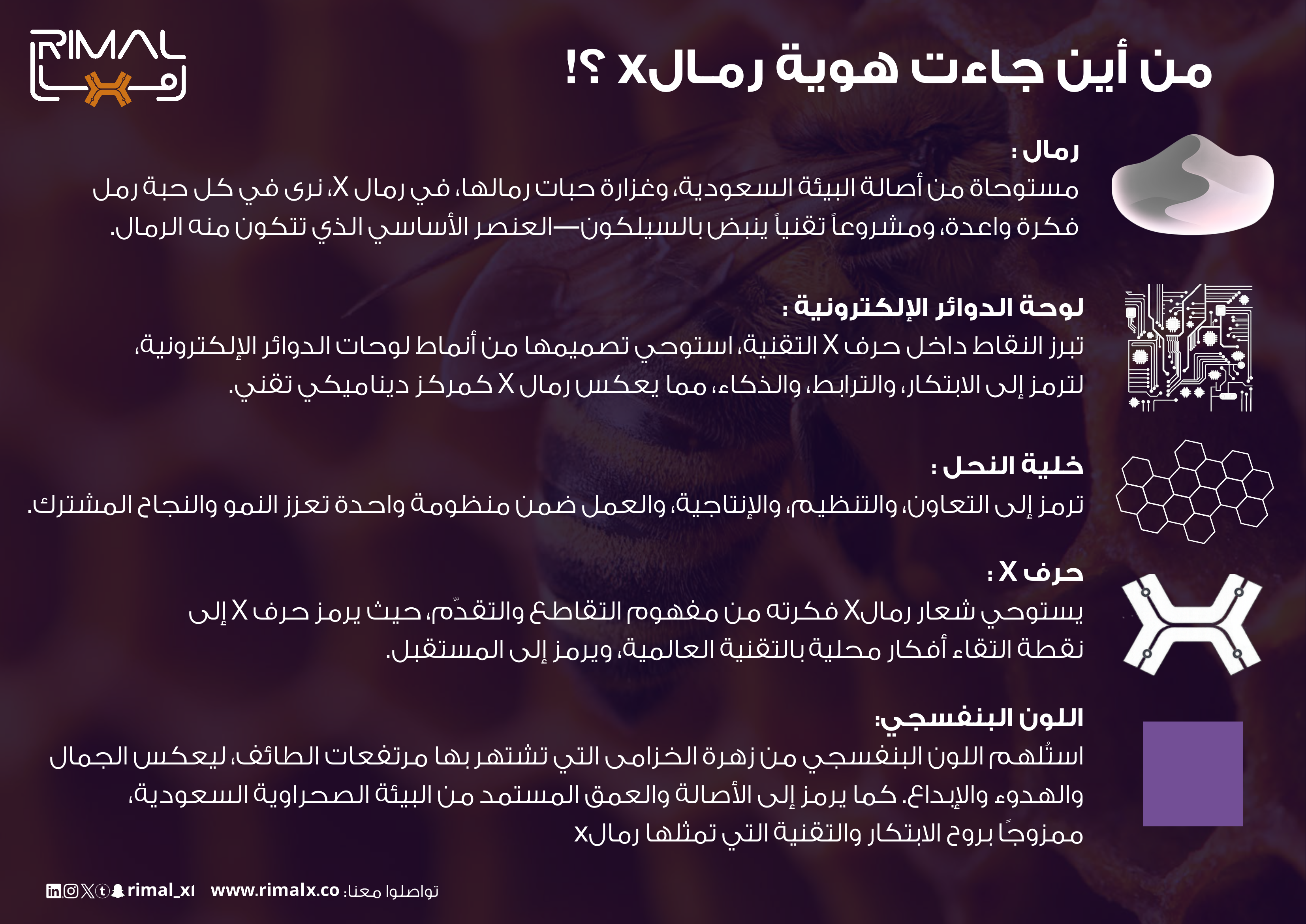الهوية البصرية لرمال إكس